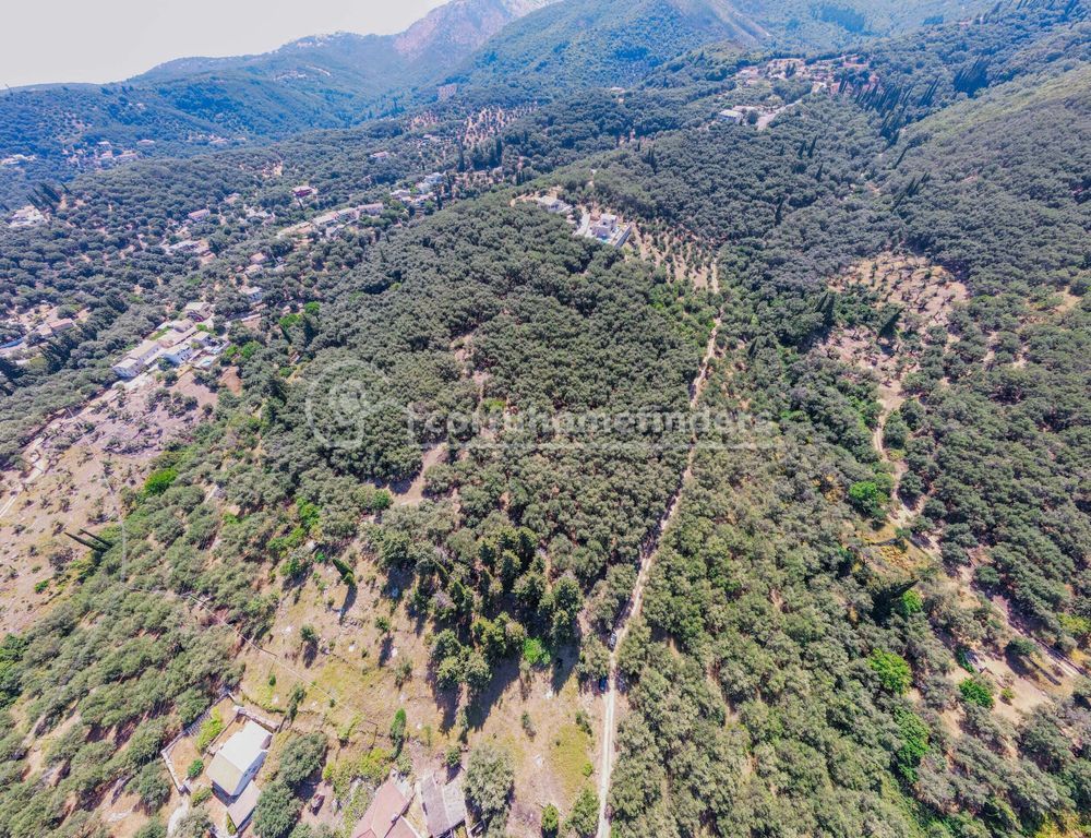Property photo 3 of 8 Land