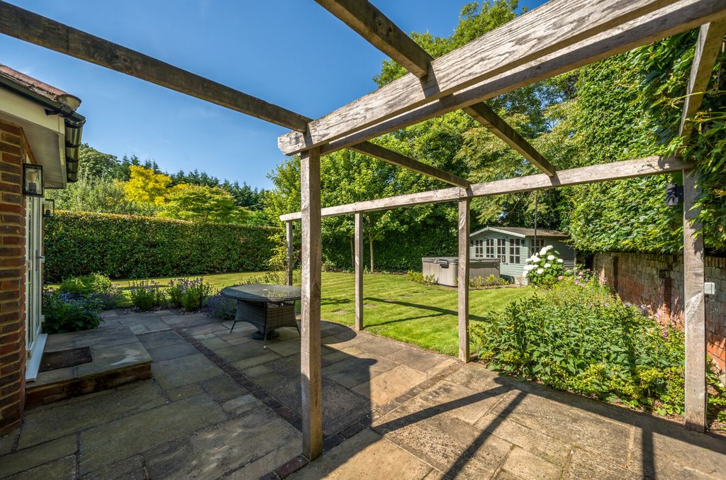 Additional image 21 of Something went wrong