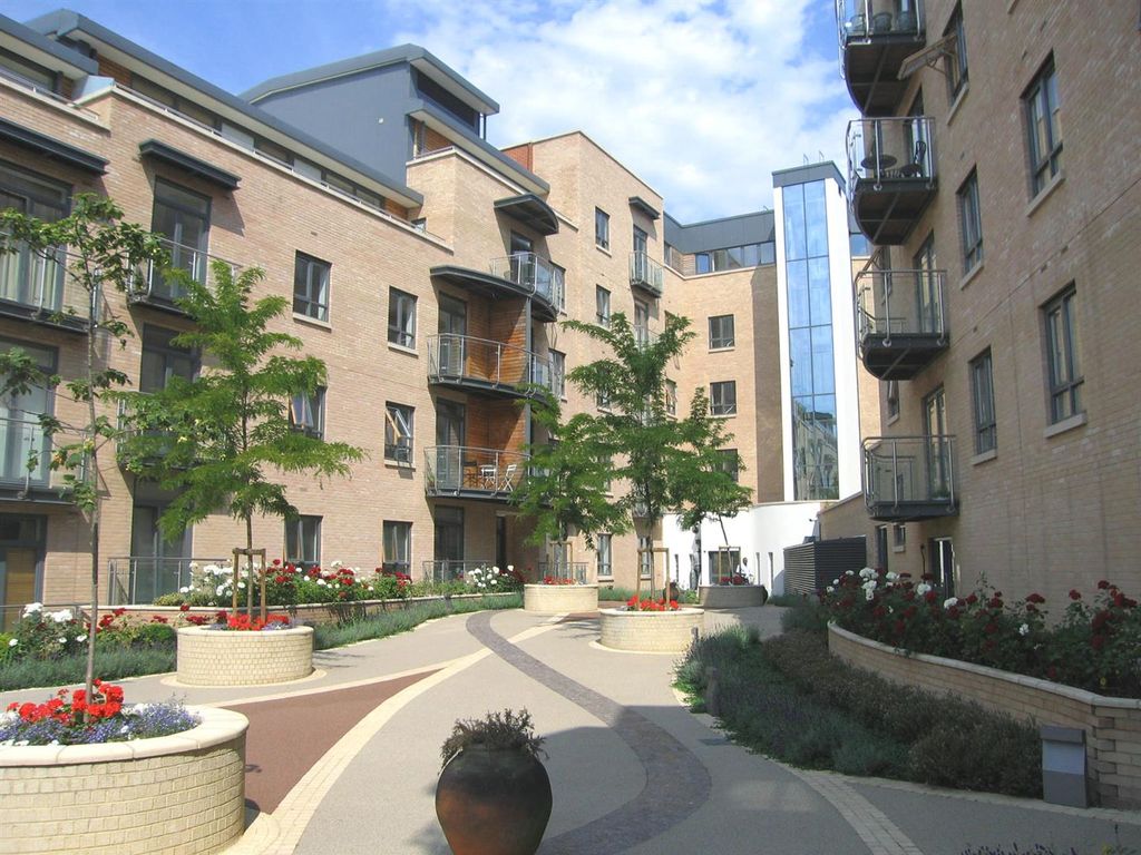 Property photo 1 of 10 Trinity Gate - Garden.Jpg