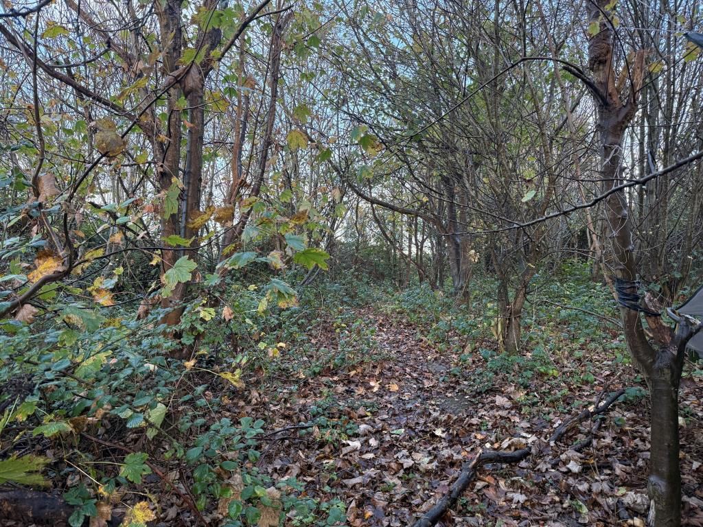 Property photo 2 of 9 View Of Footpath Through Woodland