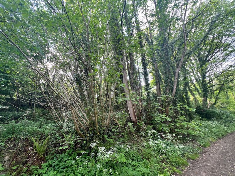 Property photo 2 of 10 Photo 10