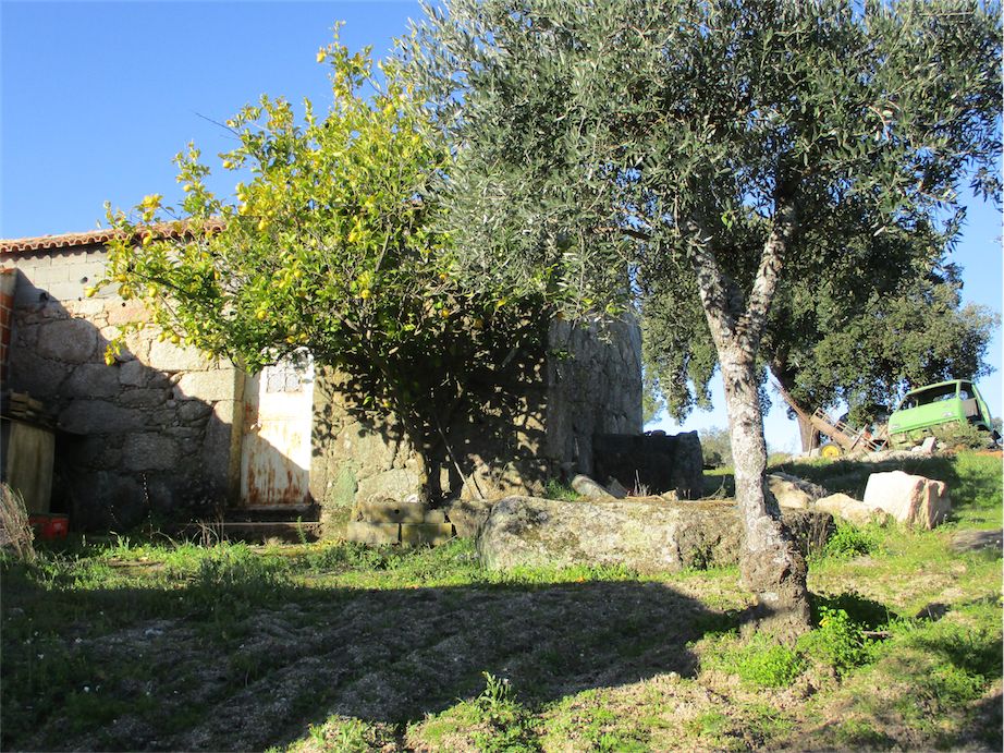 Property photo 3 of 30