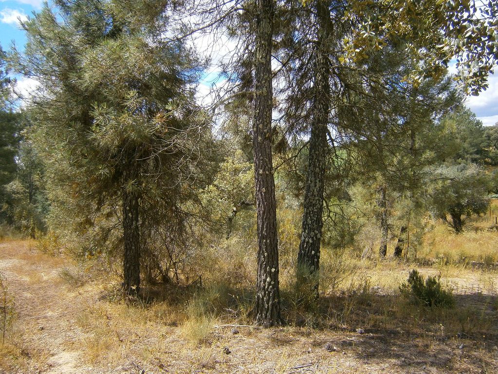 Property photo 2 of 6