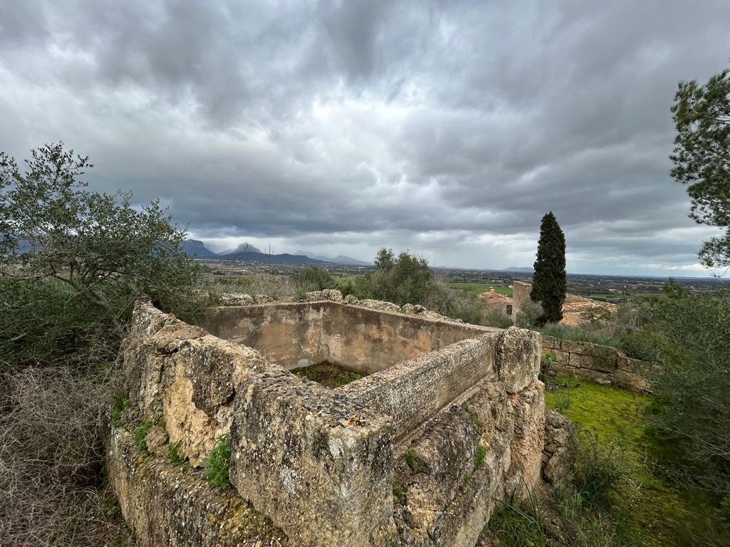 Property photo 3 of 41 003.Jpg