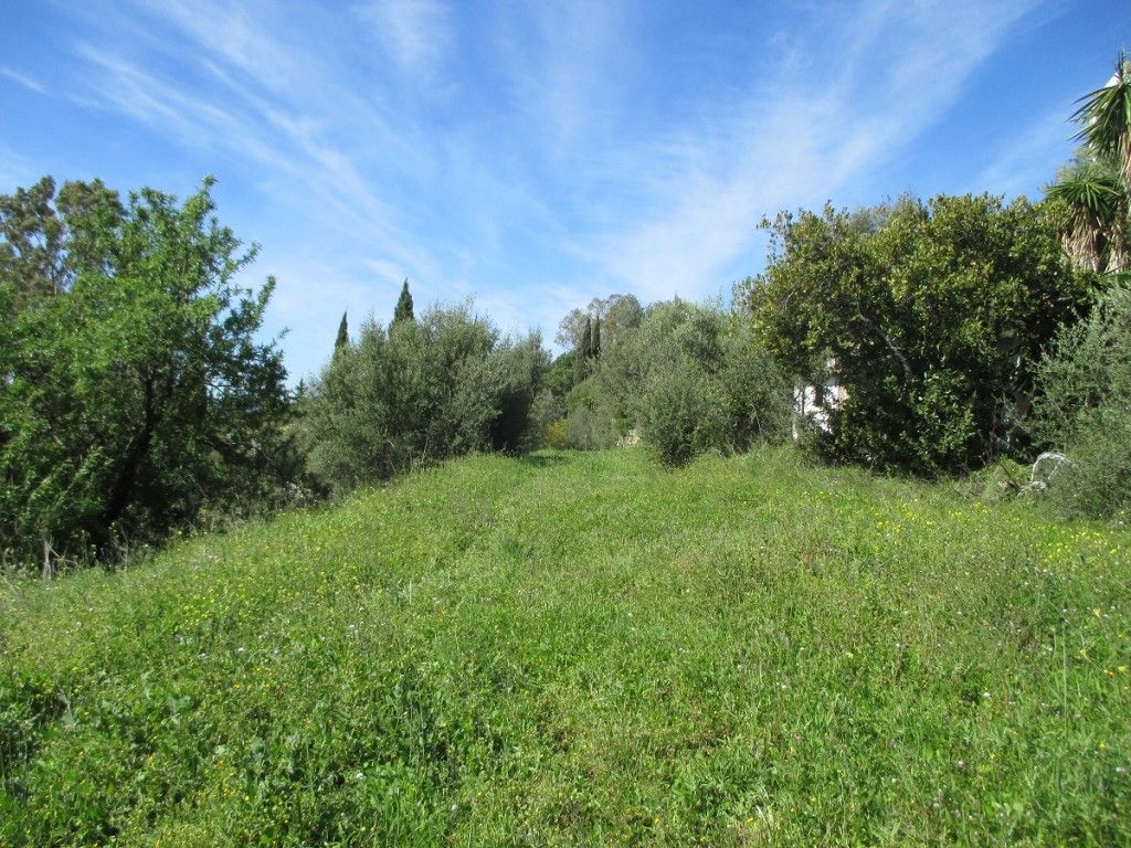 Property photo 1 of 4 Plot-81