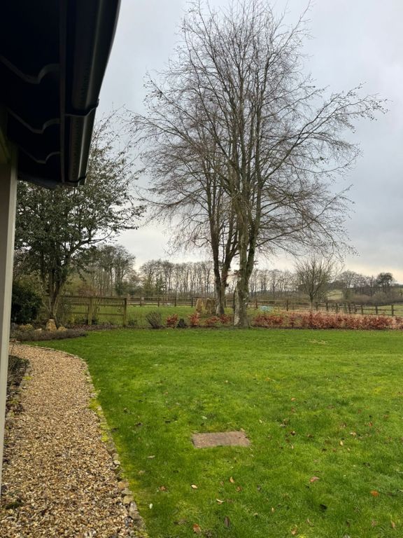 Property photo 3 of 15 Ivy Cottage Garden