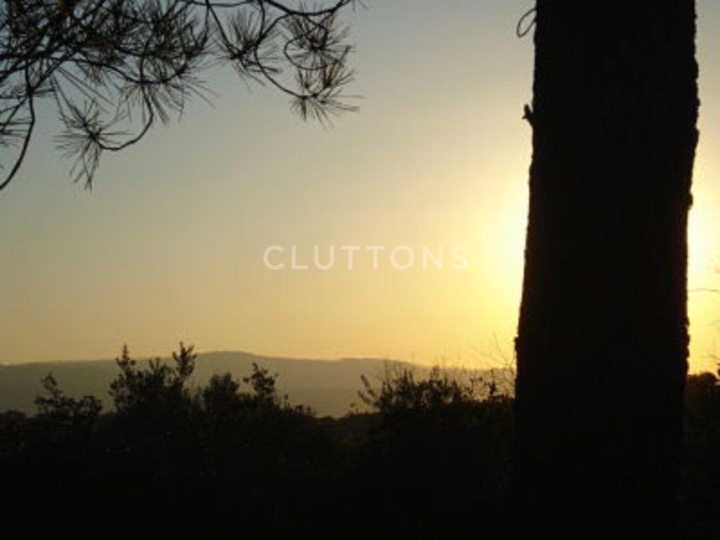 Property photo 1 of 17 Land, 5.4 Hectares, Pip Approved, With Possibility Of Construction Of Tourism Development, Four-Star Hotel, Borba, Alentejo