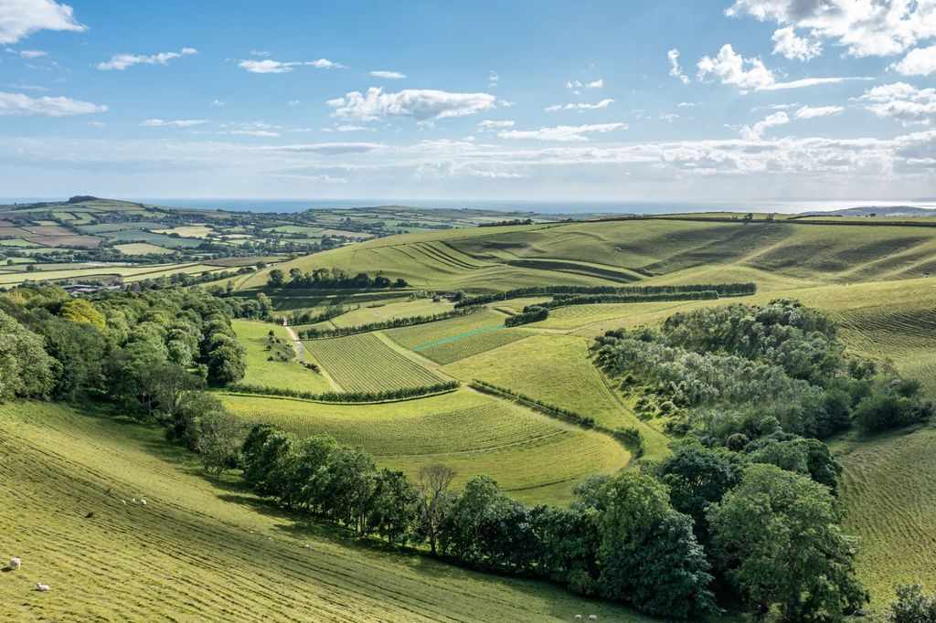 Property photo 1 of 13 Picture No. 02