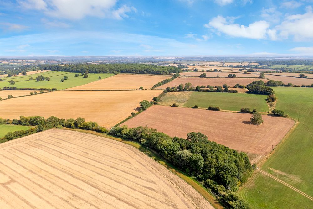 Property photo 1 of 11 Land