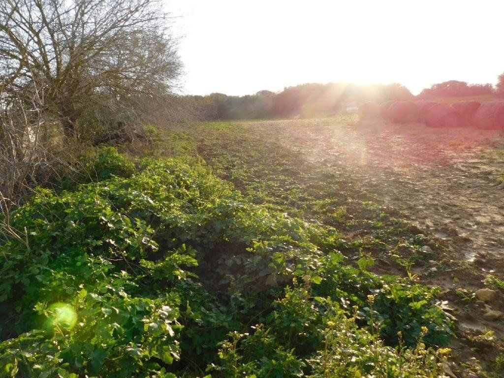 Property photo 3 of 3