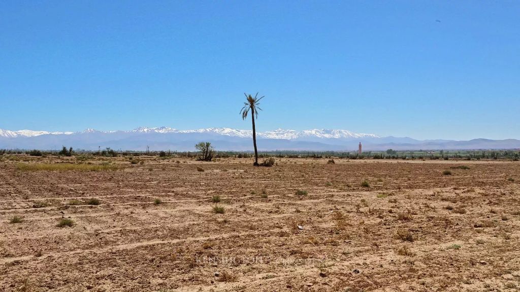 Property photo 2 of 5 Click Here If You Are Looking For Land For Sale In Marrakech Land Wood From Kensingtonmorocco.Com