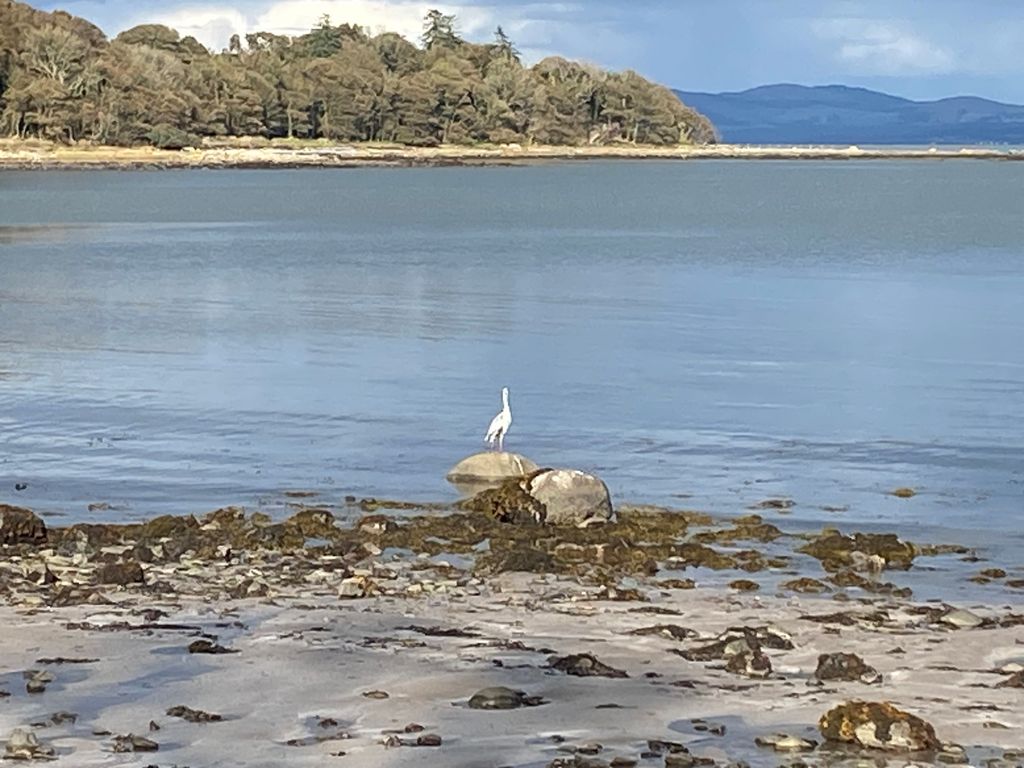 Property photo 3 of 8 Rigg Bay