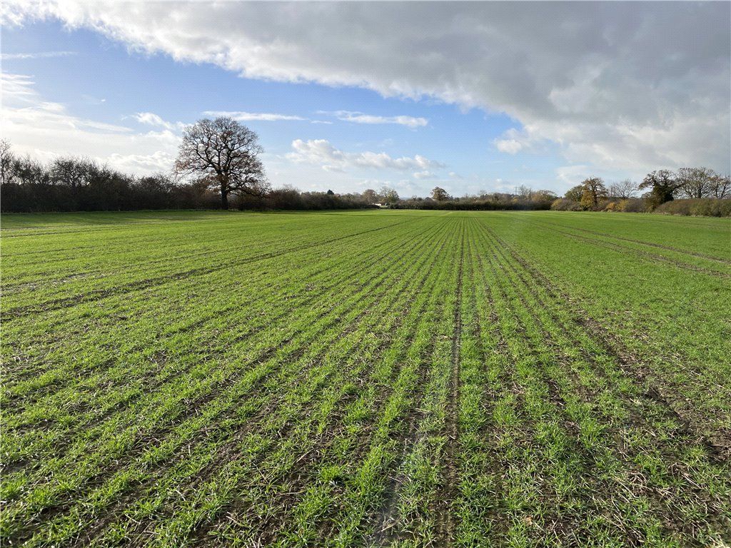 Property photo 3 of 5 View South