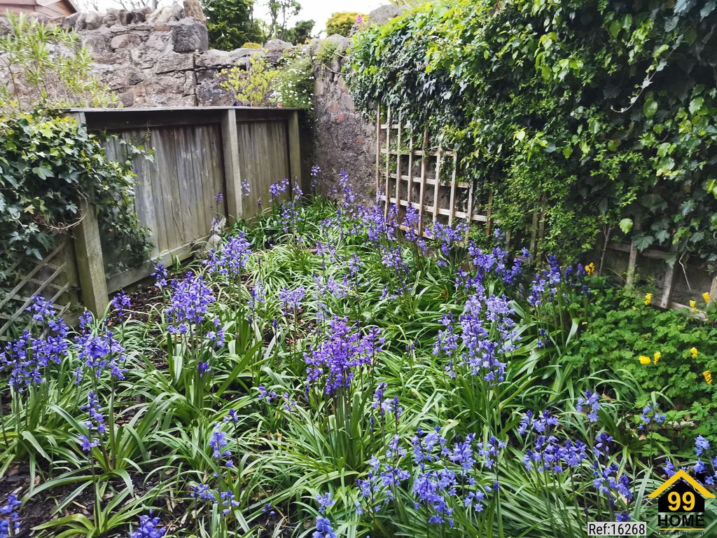 Property photo 1 of 16 Photo 0