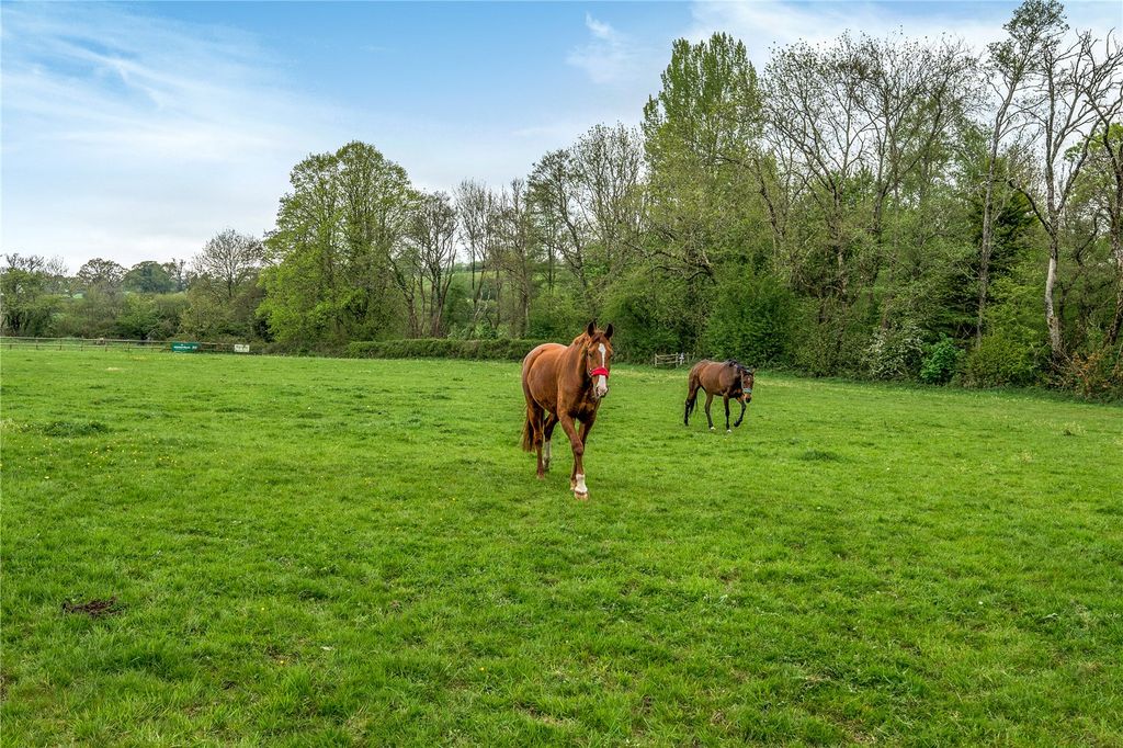 Additional image 32 of 4 bed equestrian for saleLaunceston, Cornwall PL15