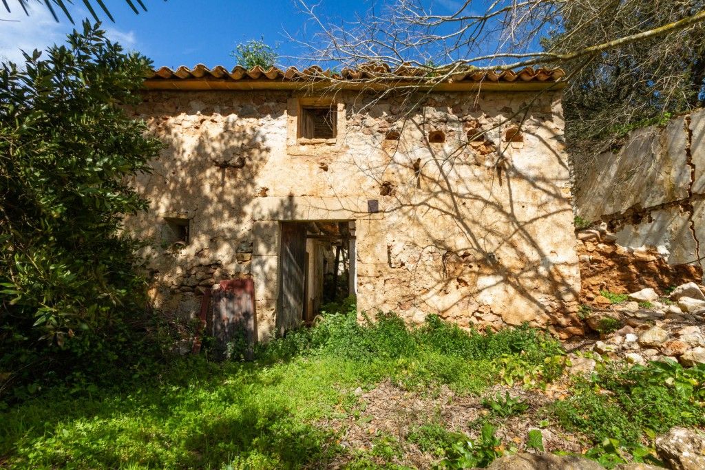 Property photo 1 of 18 Finca (1)