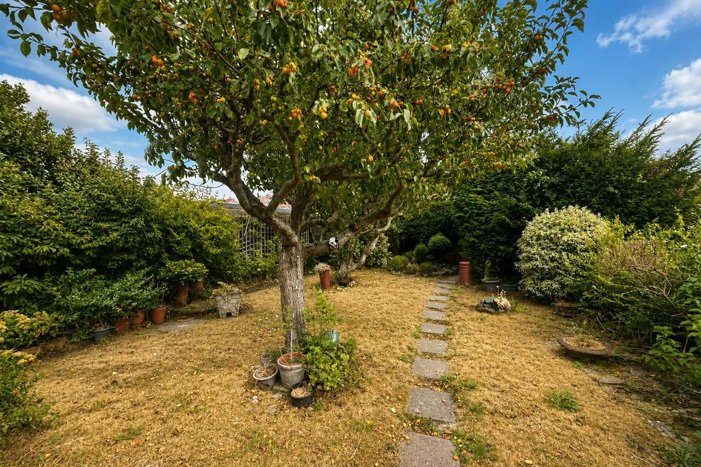 Property photo 2 of 17 cc6F9c30-146d-4A38-Ac40-2F87F0Bd3611.Png