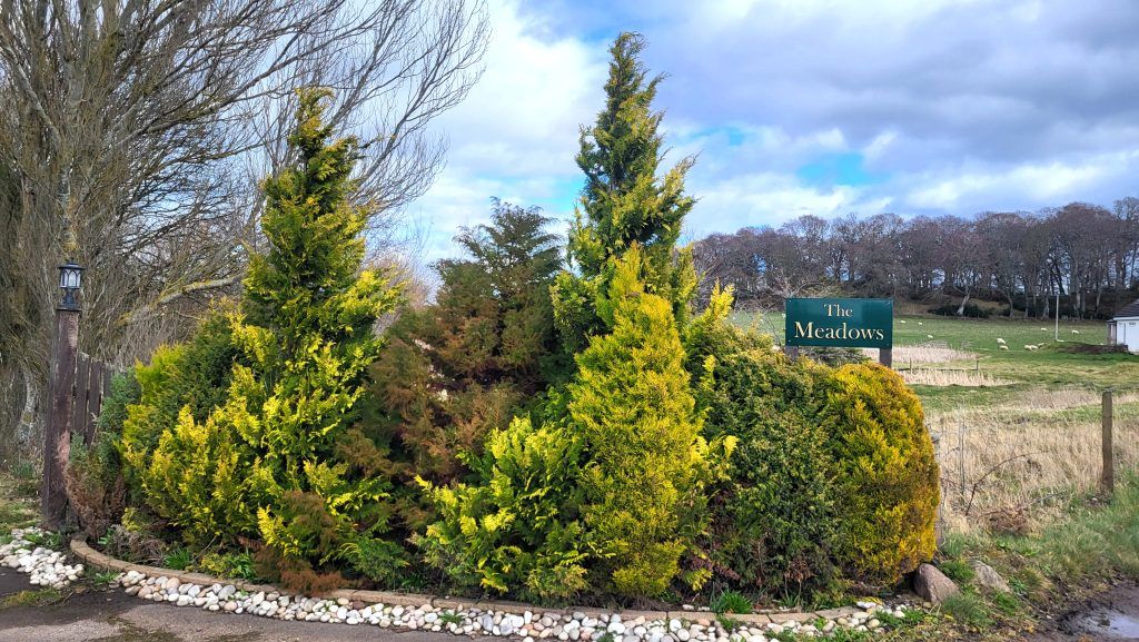 Property photo 2 of 47