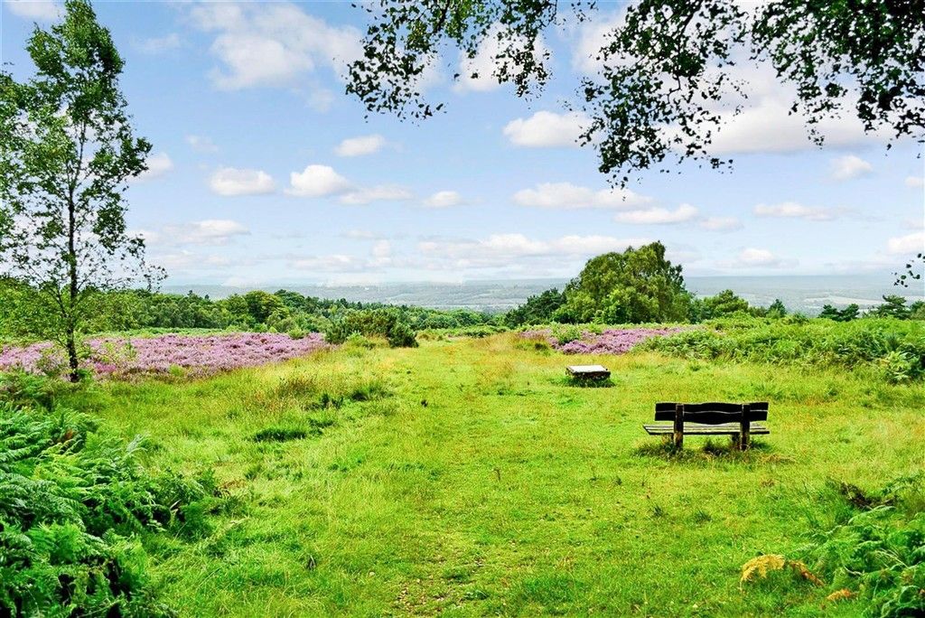 Property photo 1 of 4 Surrounding Area - Ashdown Forest