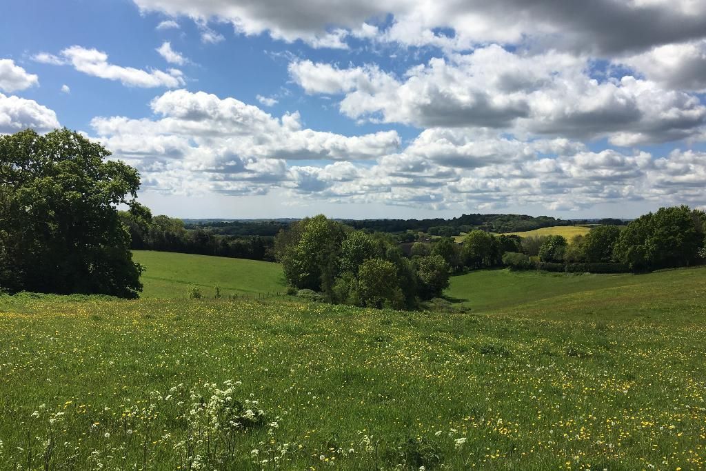 Property photo 2 of 14 Photo 2