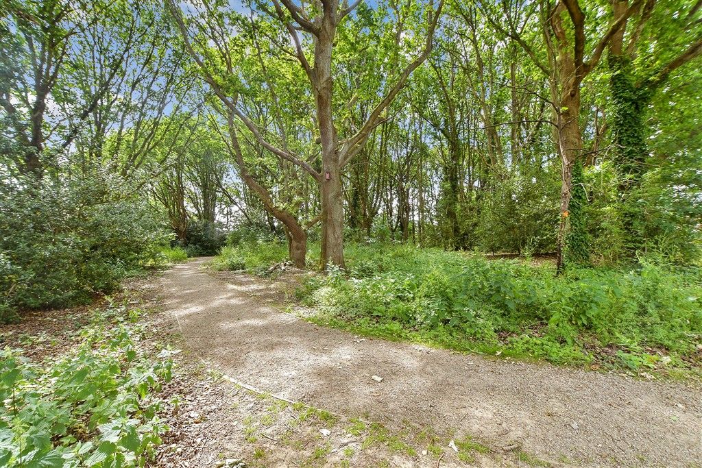 Property photo 2 of 12 Surrounding Area