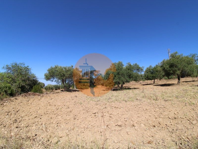 Property photo 1 of 32
