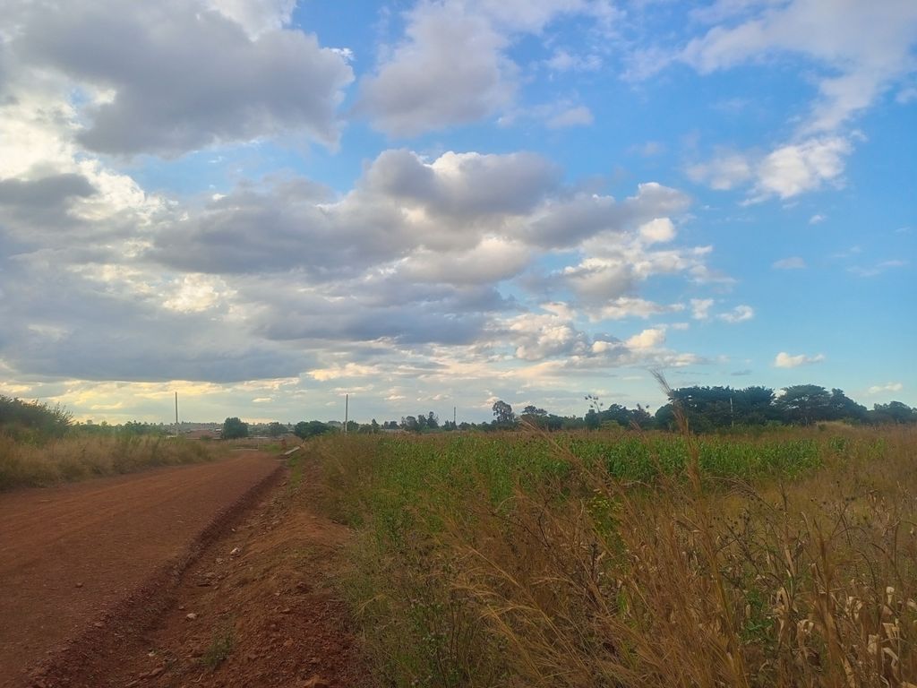 Property photo 1 of 9 Dusty Rural Dirt Road Through Tall Grasses Toward A Distant Tree Line Under A Partly Cloudy Blue Sky.