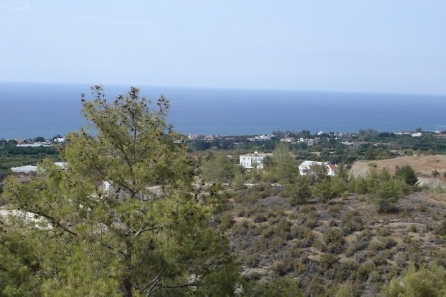 Property photo 3 of 4