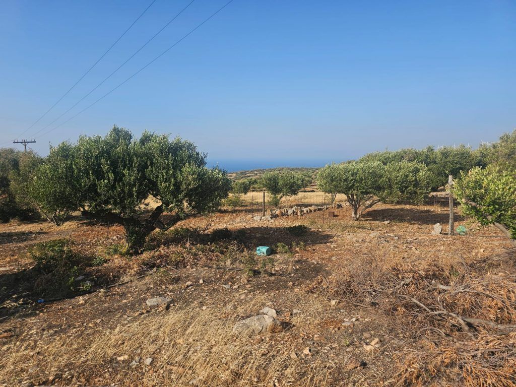 Property photo 3 of 24