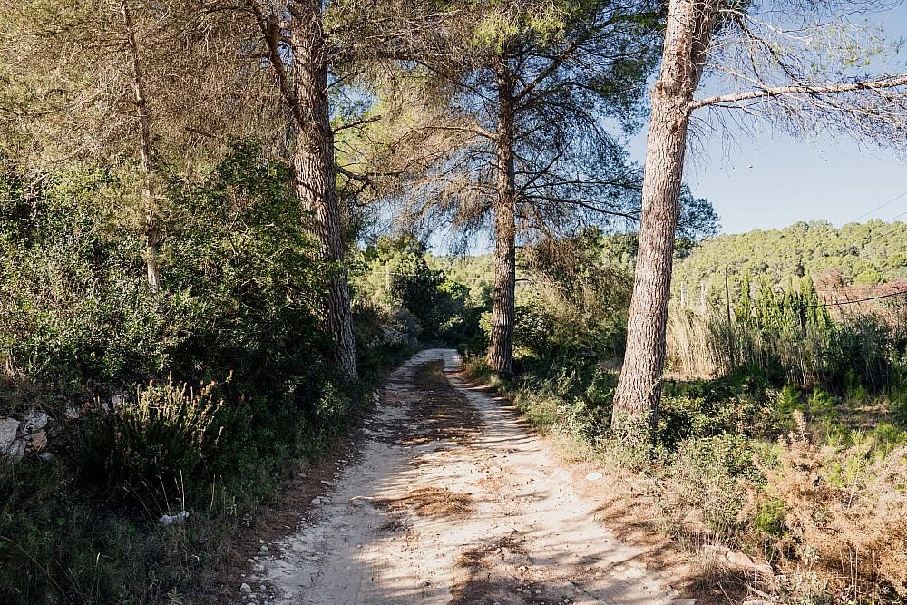 Property photo 2 of 11 Project Can Saya Ibiza