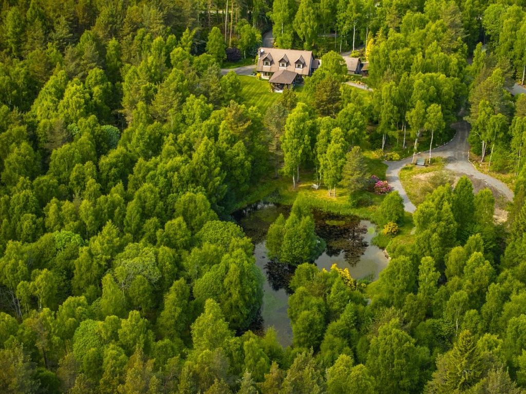 Property photo 1 of 12 Aerial View