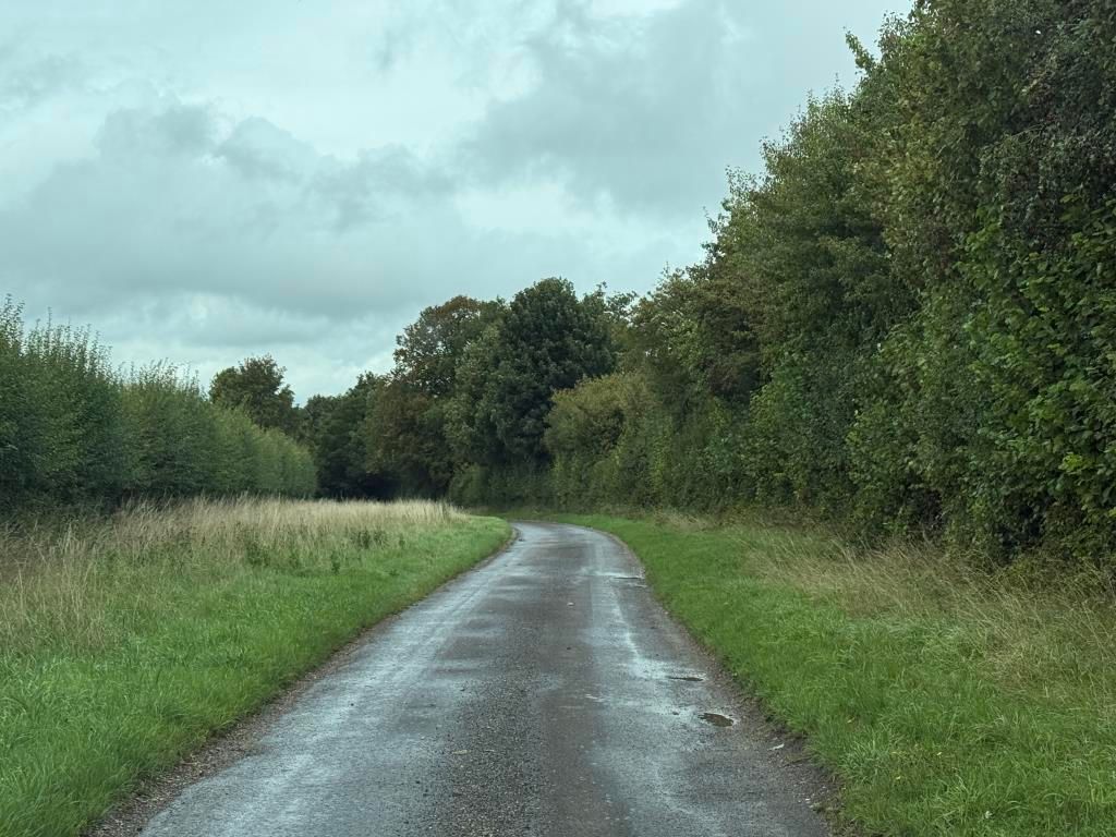 Property photo 3 of 3 View Along Lane In Country