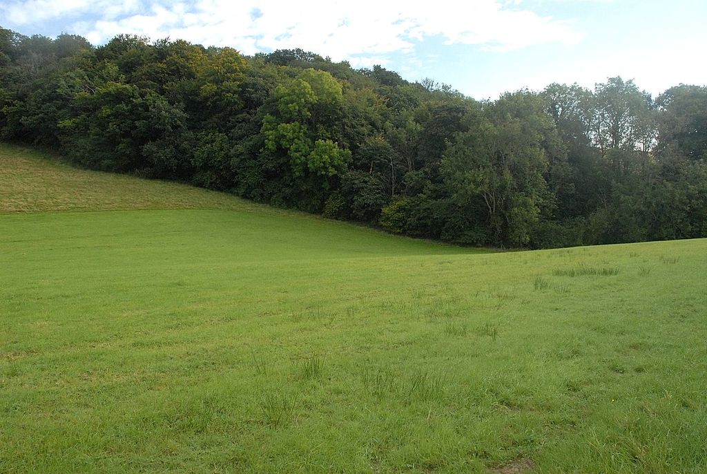 Additional image 39 of 4 bed detached house for saleLlanfyllin, Powys SY22