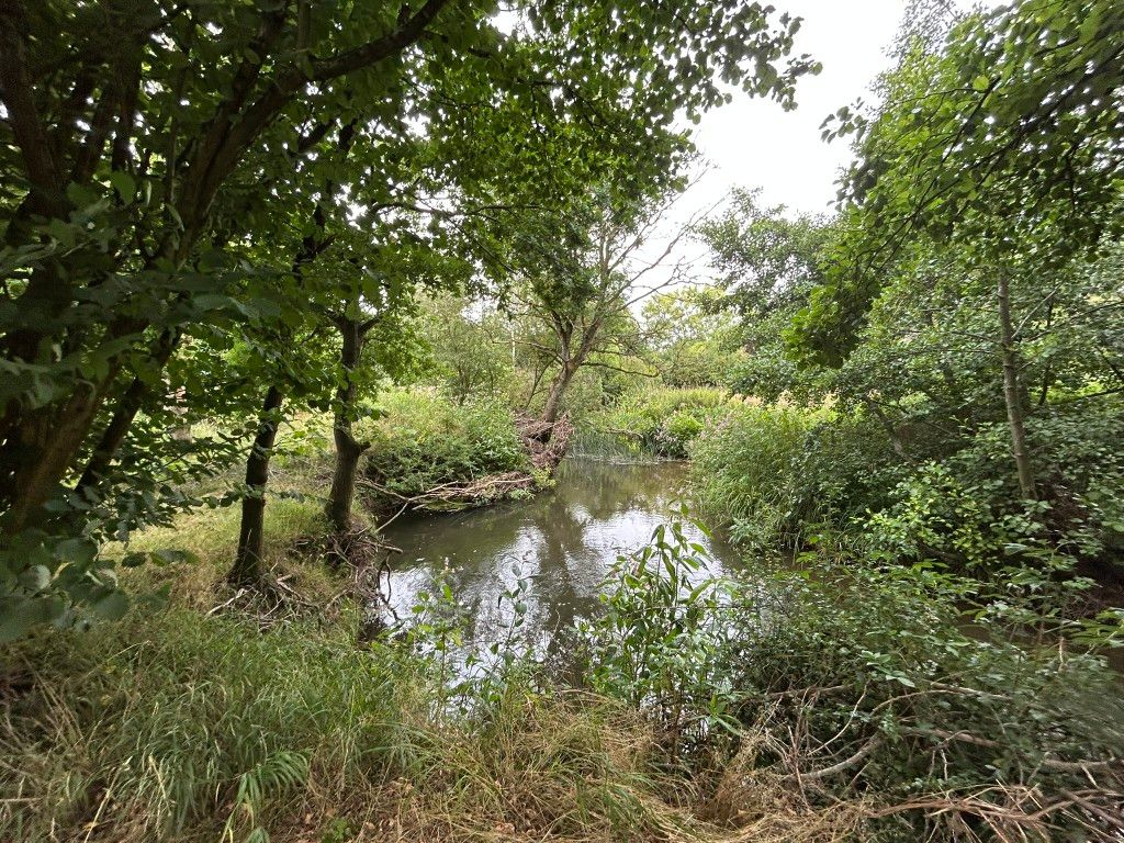 Property photo 1 of 23 Img_1999 (Medium)