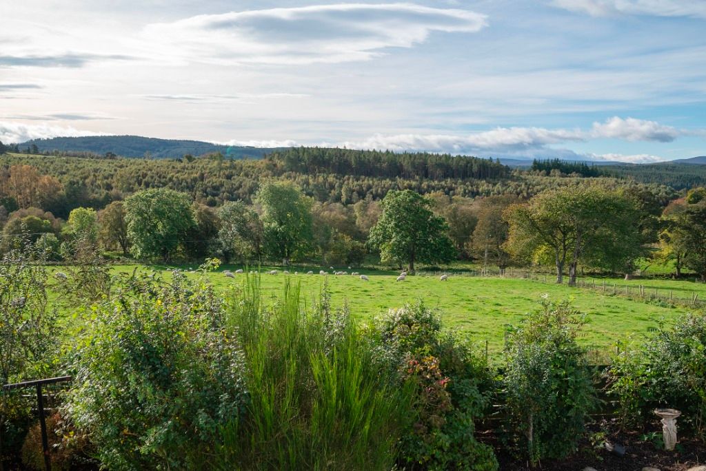 Additional image 19 of 4 bed detached house to rentGlassel, Banchory, Aberdeenshire AB31