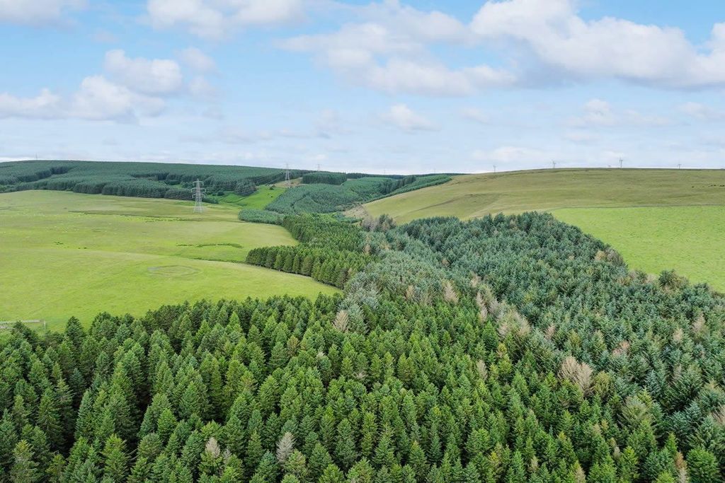 Additional image 6 of Land for saleForestry Land, Hartside Wood, Lauder, Scottish Borders TD26Pu TD2