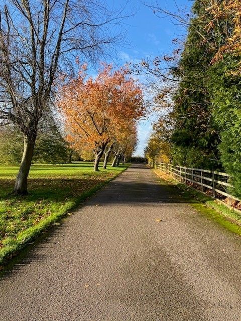 Property photo 2 of 27 Driveway 2