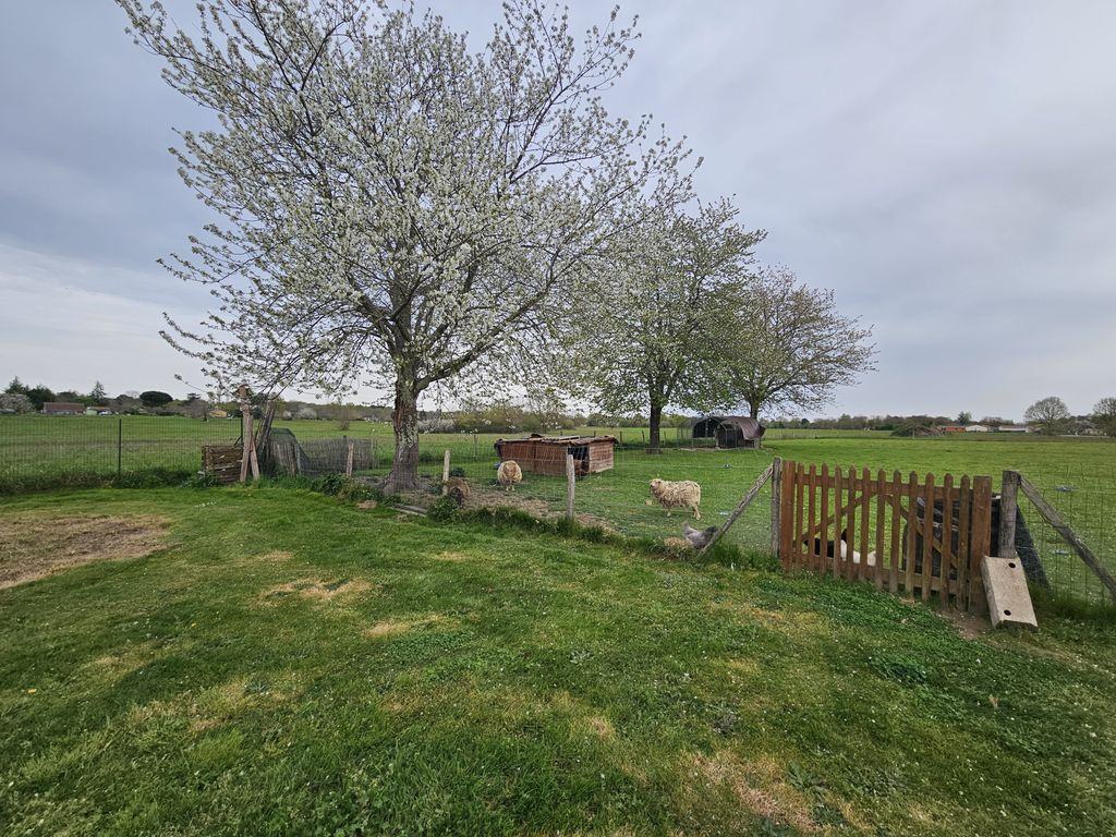 Property photo 3 of 19