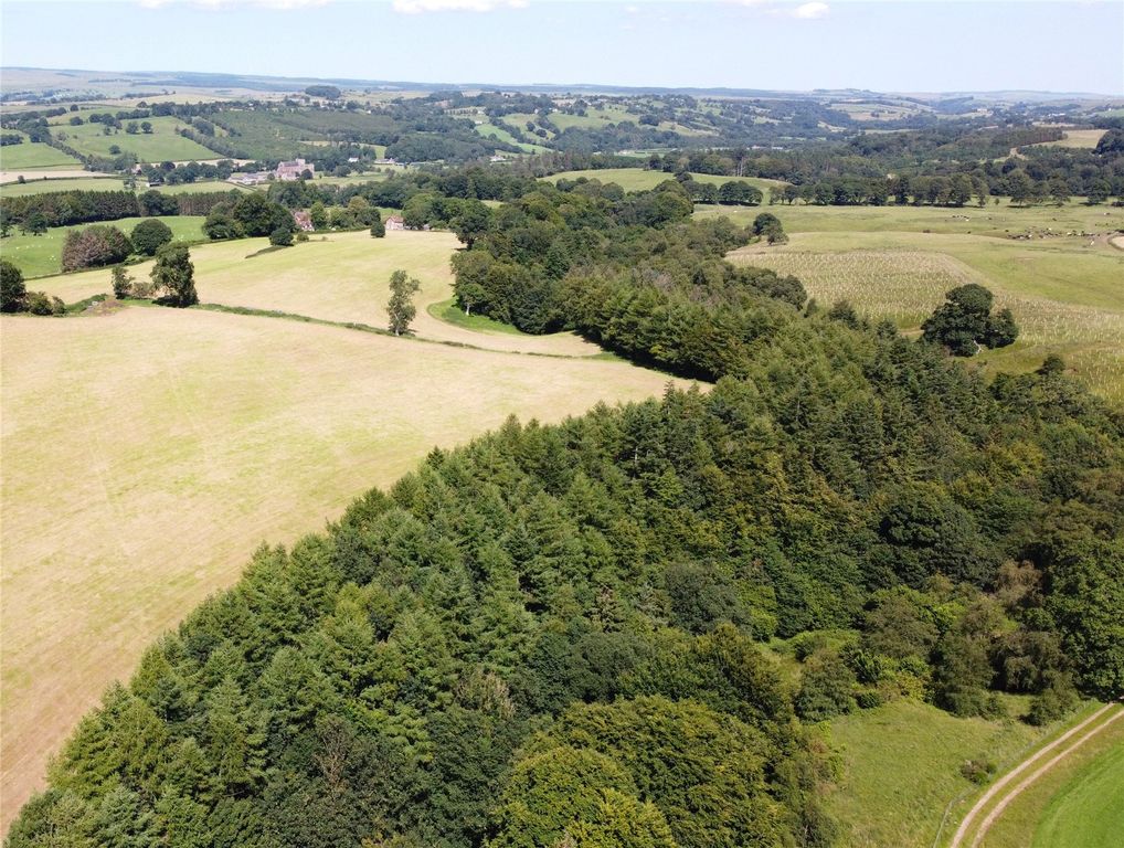 Property photo 2 of 7 Picture No. 01