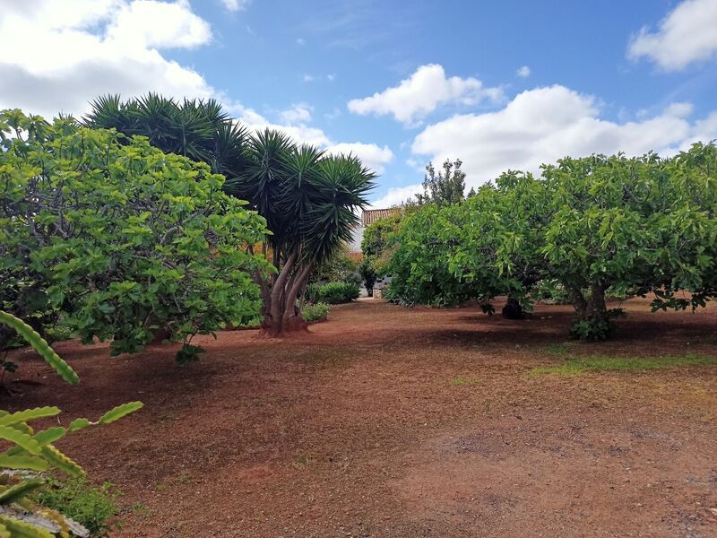 Property photo 3 of 27 Img 2