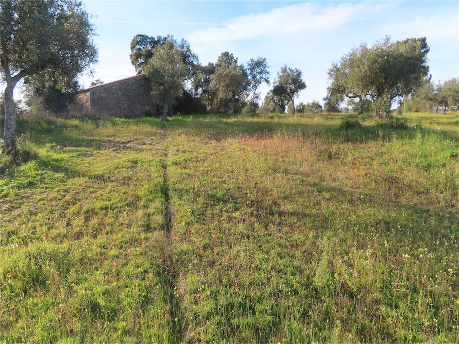 Property photo 1 of 26