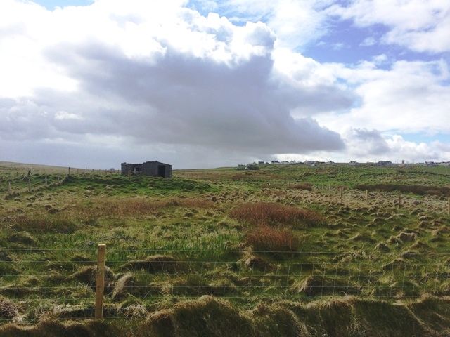 Property photo 1 of 1 Img_4947
