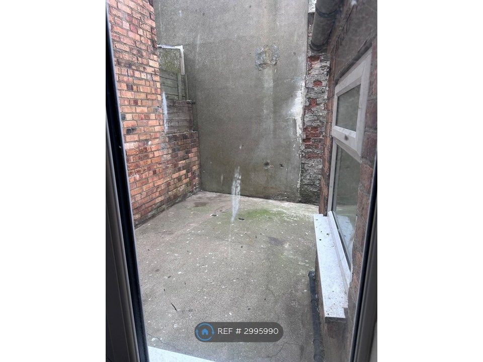 Property photo 3 of 4 Rear Yard