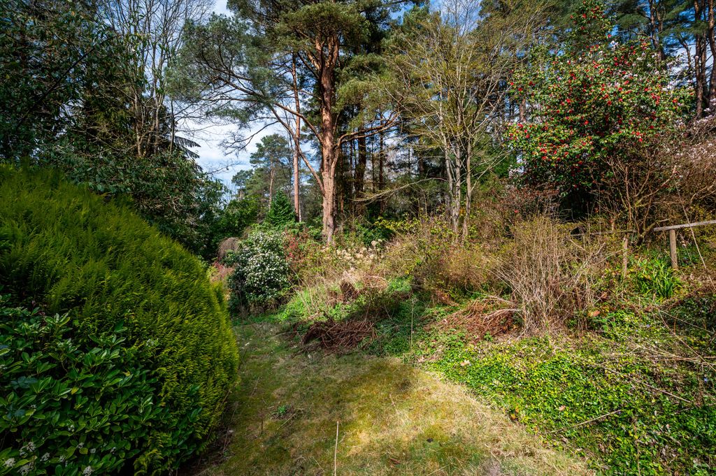 Property photo 3 of 25 Image