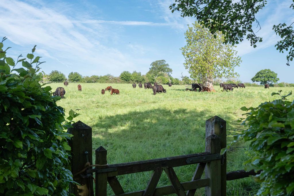 Property photo 3 of 20