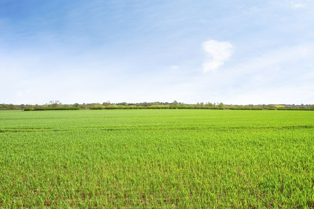 Property photo 2 of 21 4F95c982-Mw26-106