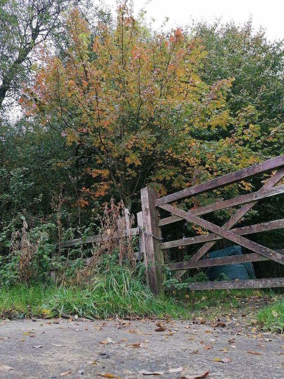 Property photo 2 of 51