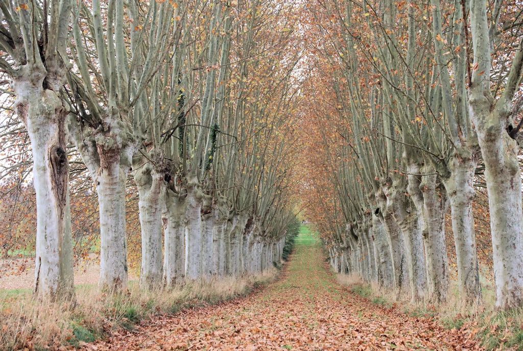 Property photo 3 of 35