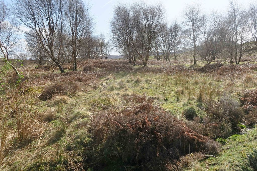 Additional image 5 of Land for salePlot B, 11 Skinidin, Dunvegan, Isle Of Skye IV55