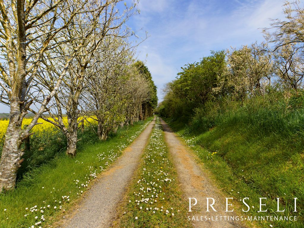 Additional image 23 of 3 bed detached house to rentSt. Davids Road, Haverfordwest SA62